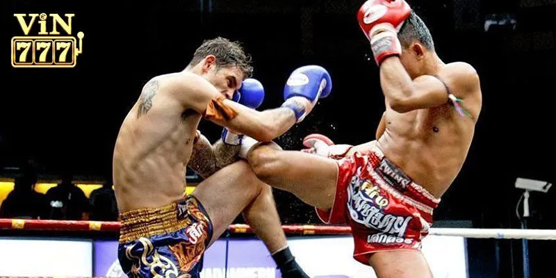 Tổng quan về cá cược boxing online thú vị