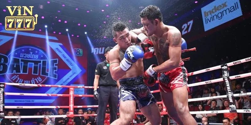 Các hình thức cá cược boxing online phổ biến